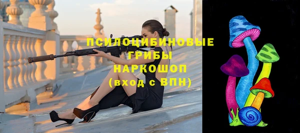 крисы Алзамай