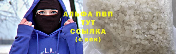 крисы Алзамай