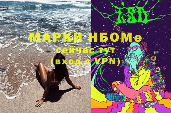 крисы Алзамай