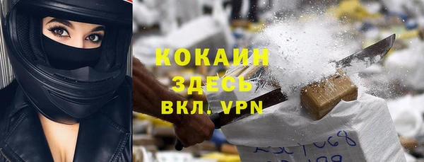 крисы Алзамай